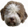 Puce